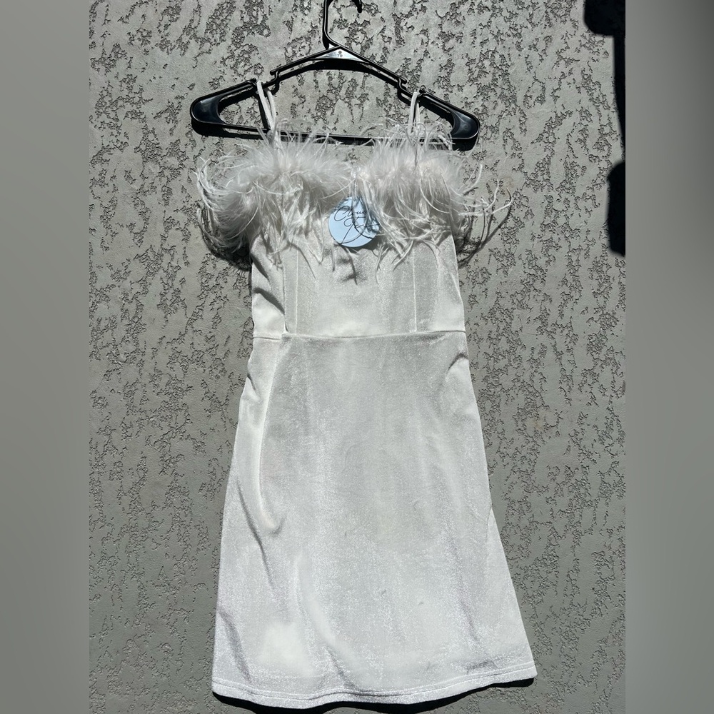 Mini feather dress